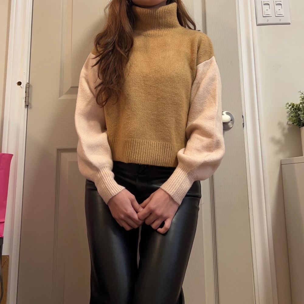 Turtleneck Sweater - Picture 1 of 4